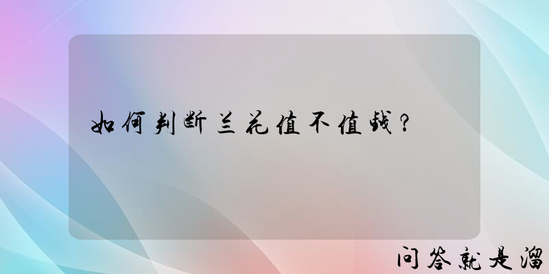 如何判断兰花值不值钱？