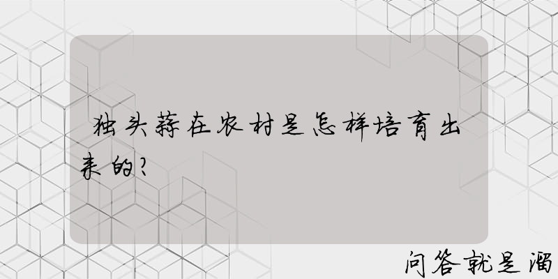 独头蒜在农村是怎样培育出来的？