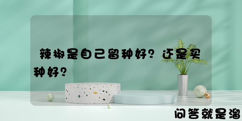 辣椒是自己留种好？还是买种好？