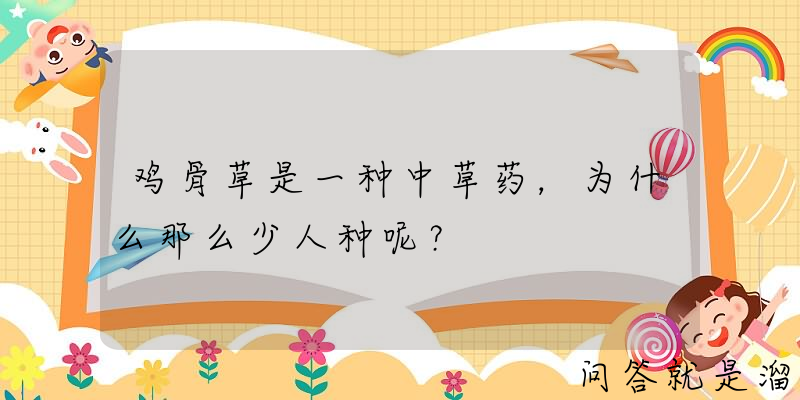 鸡骨草是一种中草药，为什么那么少人种呢？